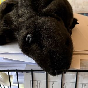 Folkmanis Beaver puppet